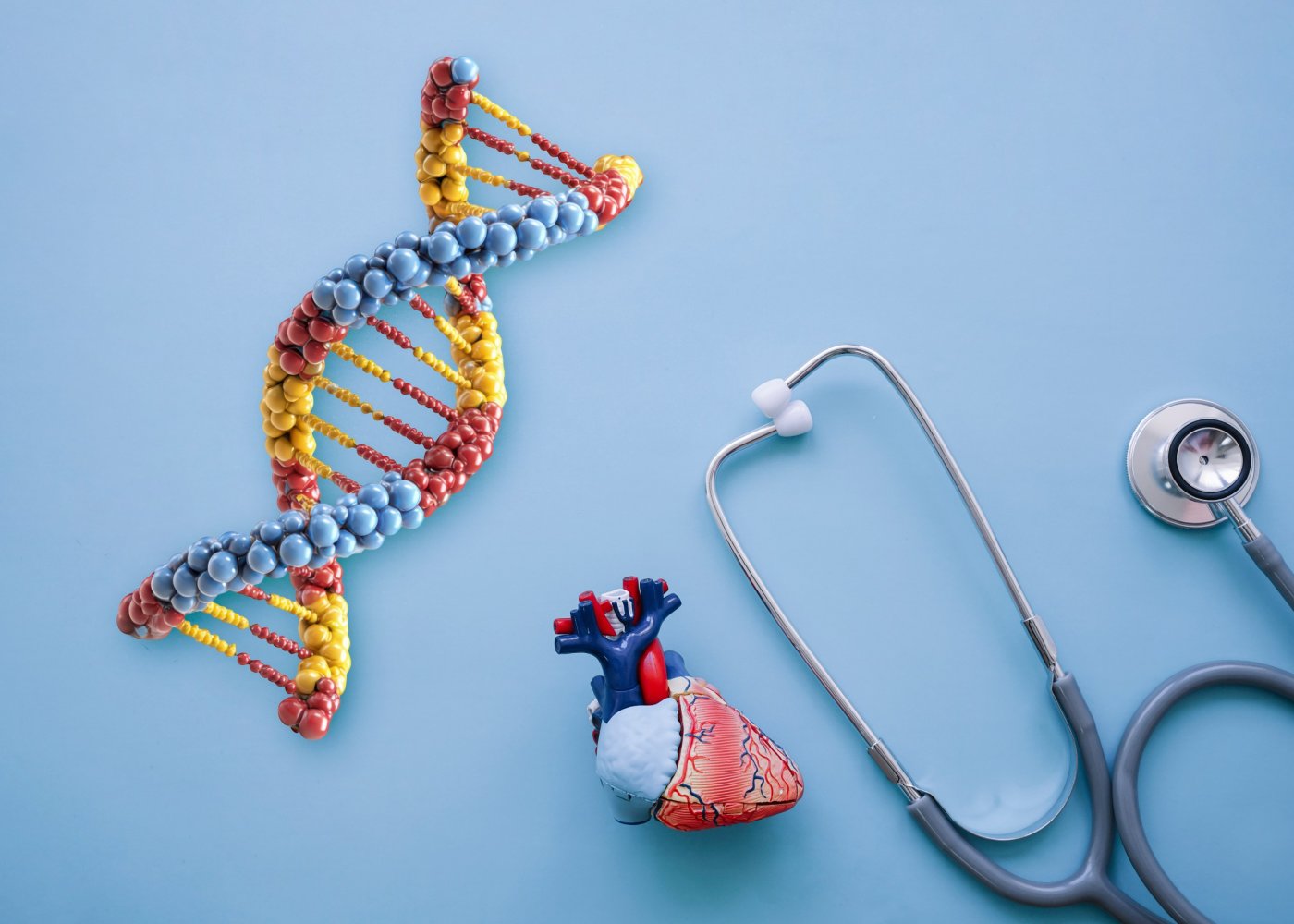 Fotografie consultație cardiogenetică